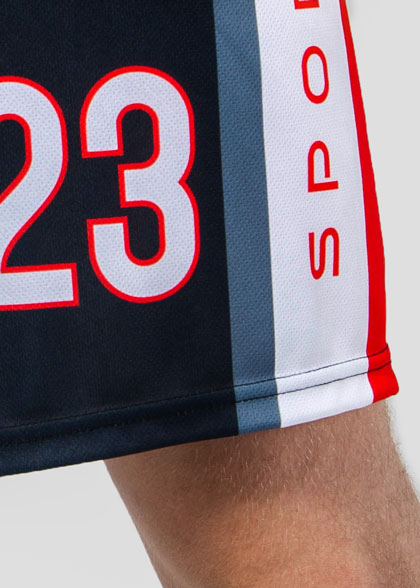 Баскетбольные шорты мужские BSK-AS06-SUBL